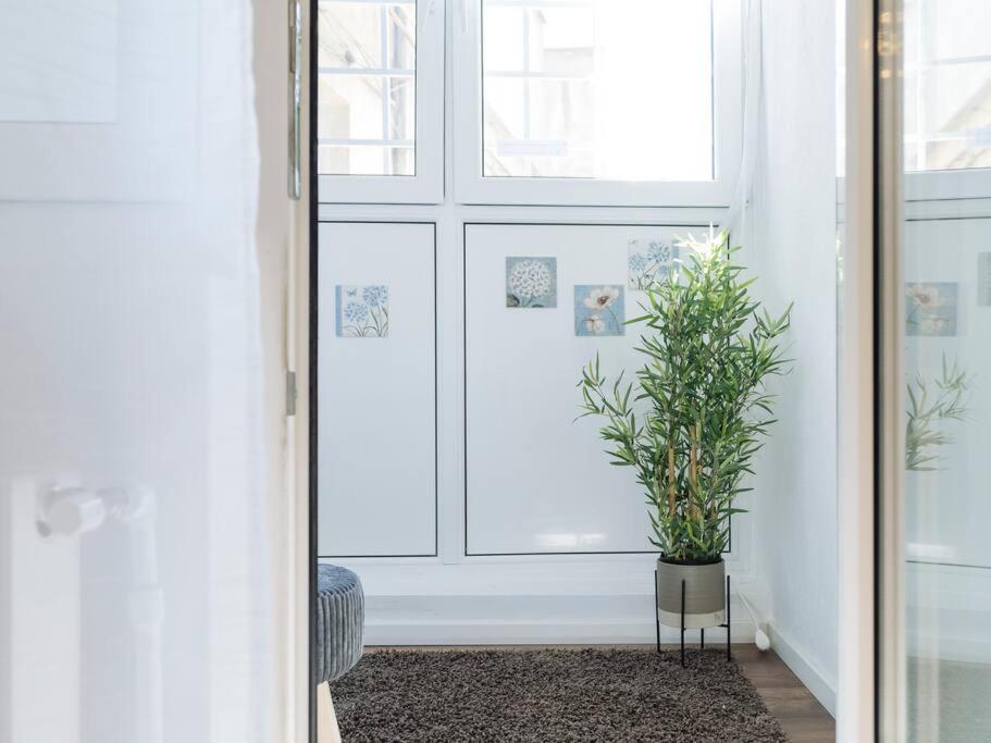 Cozy Studio Next To House Of Parliament بوخارست المظهر الخارجي الصورة