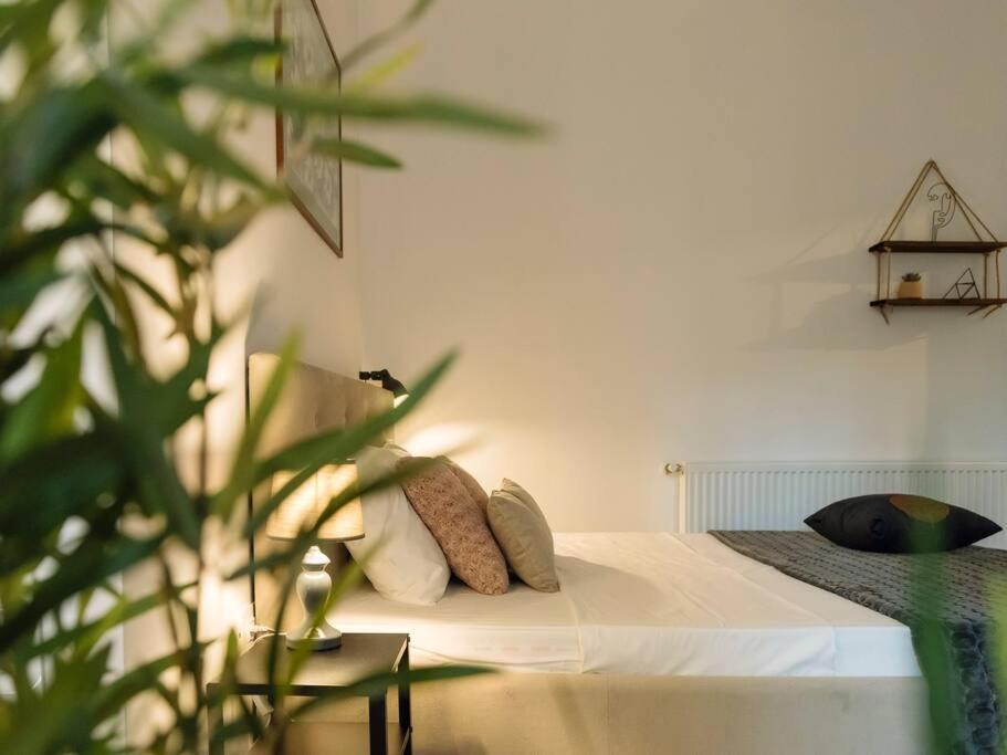 Cozy Studio Next To House Of Parliament بوخارست المظهر الخارجي الصورة